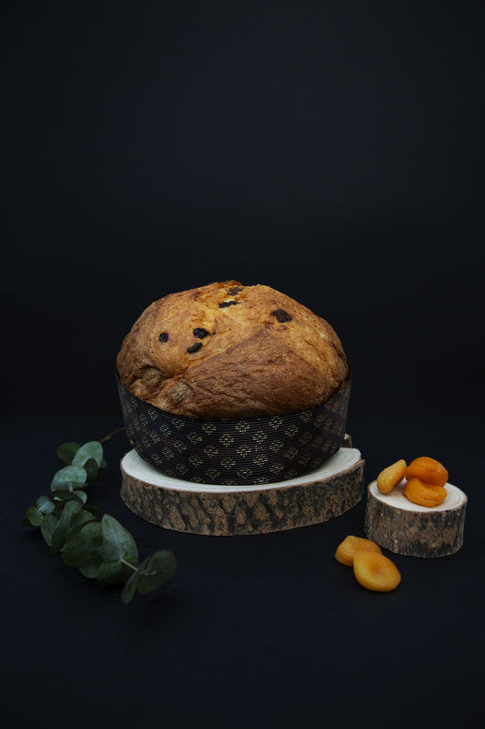 Panettone Cioccolato e Albicocca